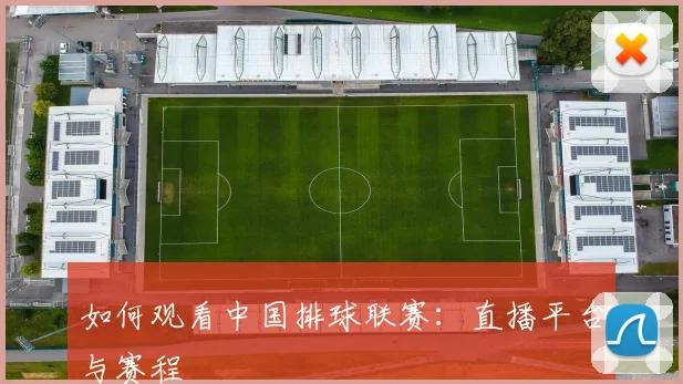 如何观看中国排球联赛：直播平台与赛程